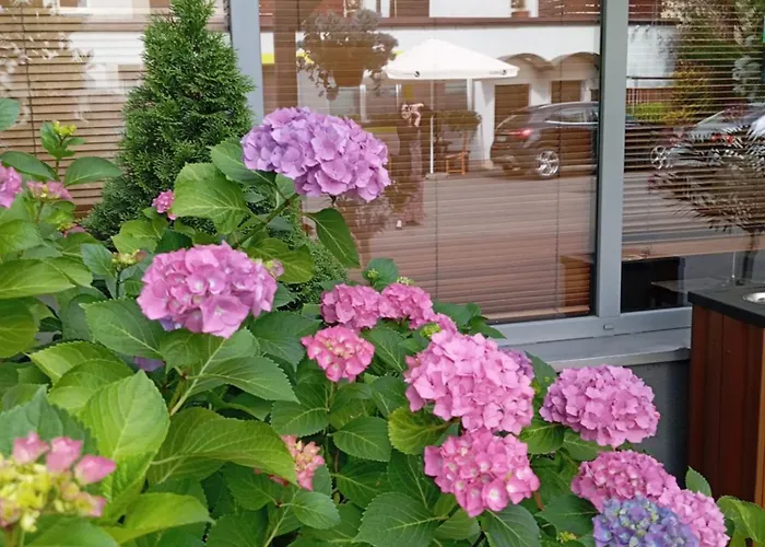 Smart2stay Magnolia Gæstehus Warszawa