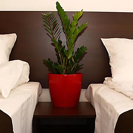 Gasthuis Smart2stay Magnolia 3*