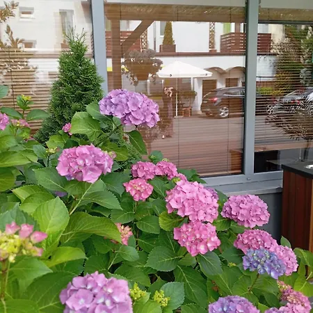 Smart2stay Magnolia Penzion Varšava